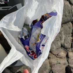 清掃活動：磯フカセ釣り