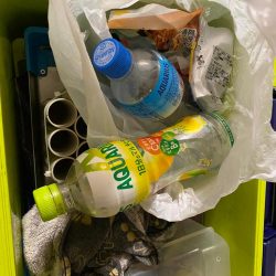 清掃活動：日本海ティップラン