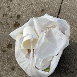 清掃活動：大アジやスズキが釣れました