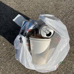 清掃活動：大アジ釣れました