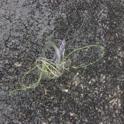 清掃活動：雰囲気だけはある