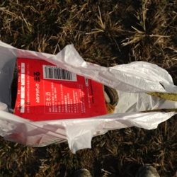 清掃活動：霧混じる陸からの冷たい追い風の晩…