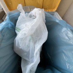 清掃活動：渋くて寒い日