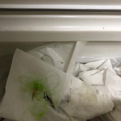 清掃活動：【志摩エリア】爆風エギング