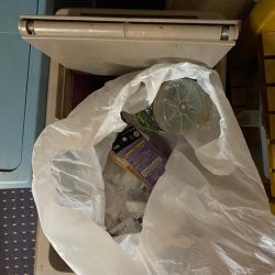 清掃活動：船カワハギ