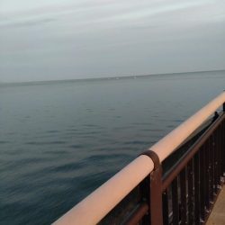 アオリイカ１杯！　アジ多数！