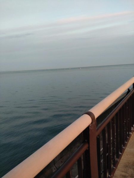 アオリイカ１杯！　アジ多数！