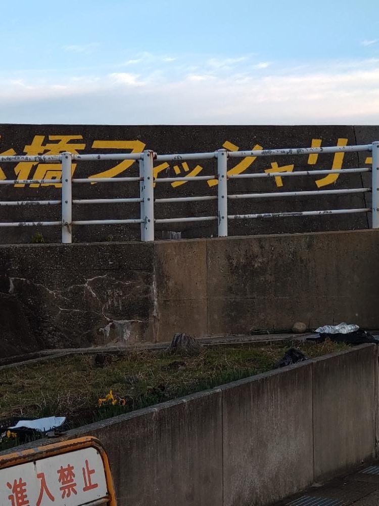 アオリイカ１杯！　アジ多数！