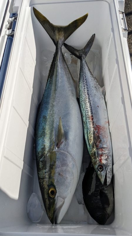 ハプニングあるも