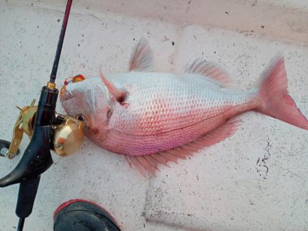 伊島近海鯛ラバ