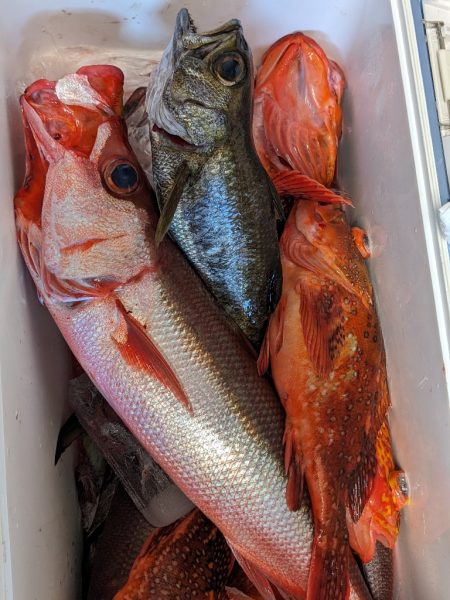 スロージギング