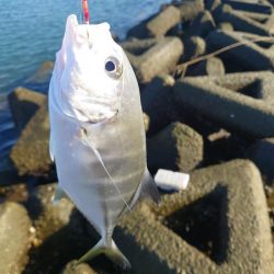 なんとかメッキ一匹