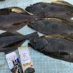 ヒラメ釣り