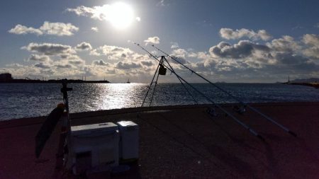 苅屋海岸の投げ釣り