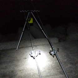 苅屋海岸の投げ釣り