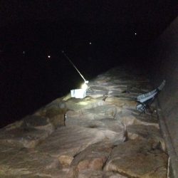 室津のキス釣り