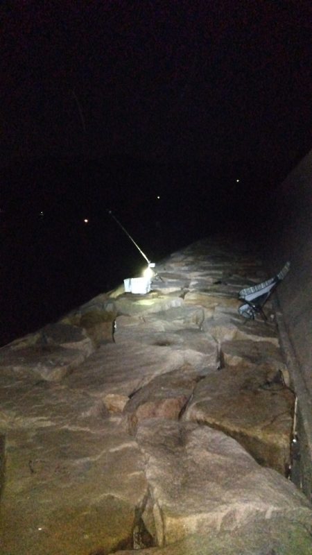 室津のキス釣り