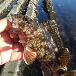 釣り納めかな？