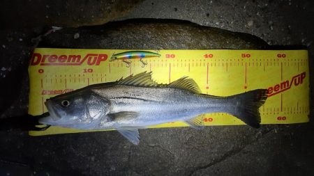 前回いい思いをしたので☺&#…