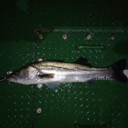 久しぶりの70オーバー