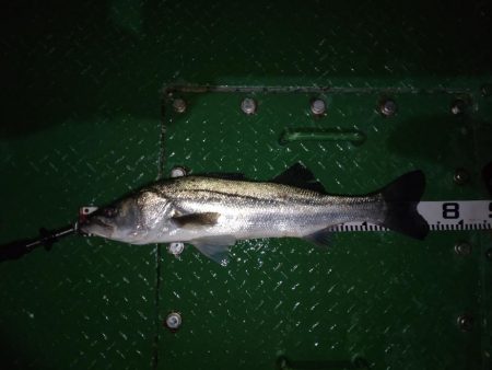 久しぶりの70オーバー