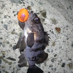 初めてのフロート