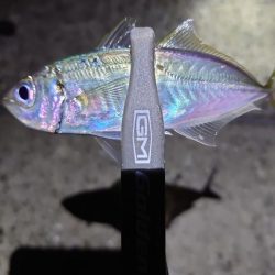 バイシクルアジング