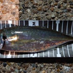 不完全燃焼！？