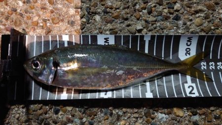 不完全燃焼！？