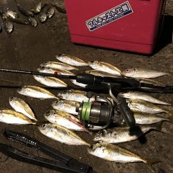 気合を入れてアジングに