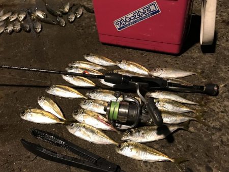 気合を入れてアジングに