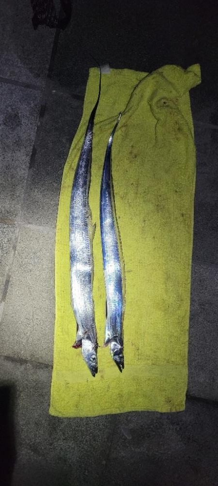 まあまあの風の中