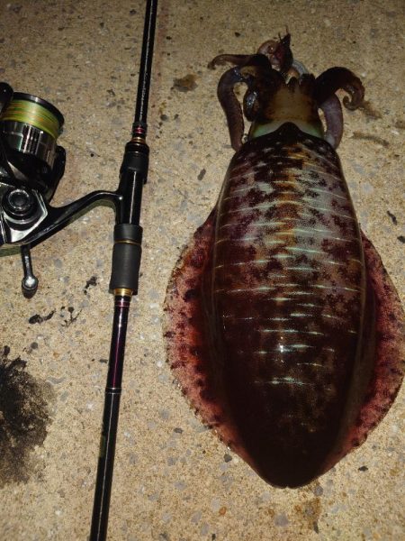 キロアップIN対馬