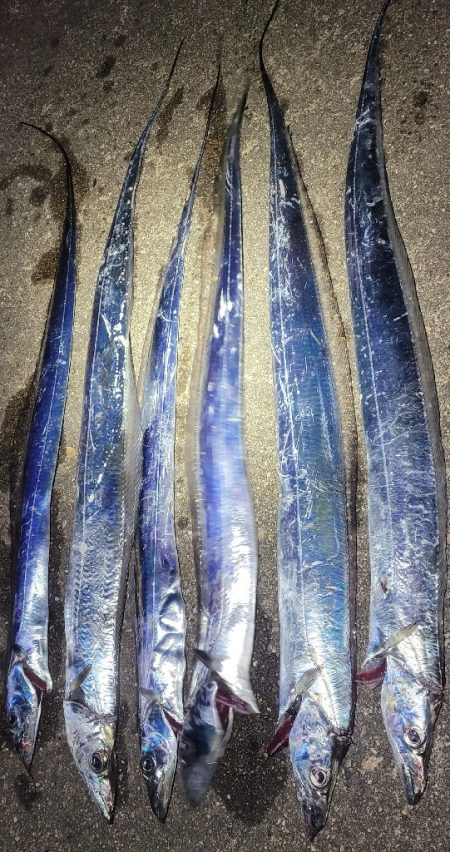 ついに待望のサイズアップ