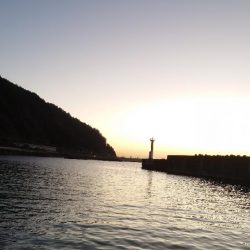 ツイてなかった