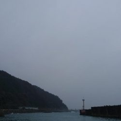 雨、大潮、朝マズメ　そして　良型