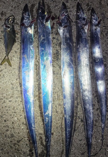 見頃の流星群、釣り頃のタチウオ