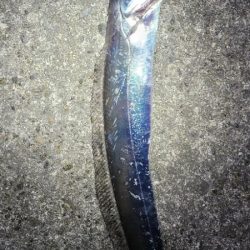 寒波前の釣り収め