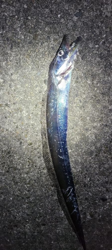 寒波前の釣り収め