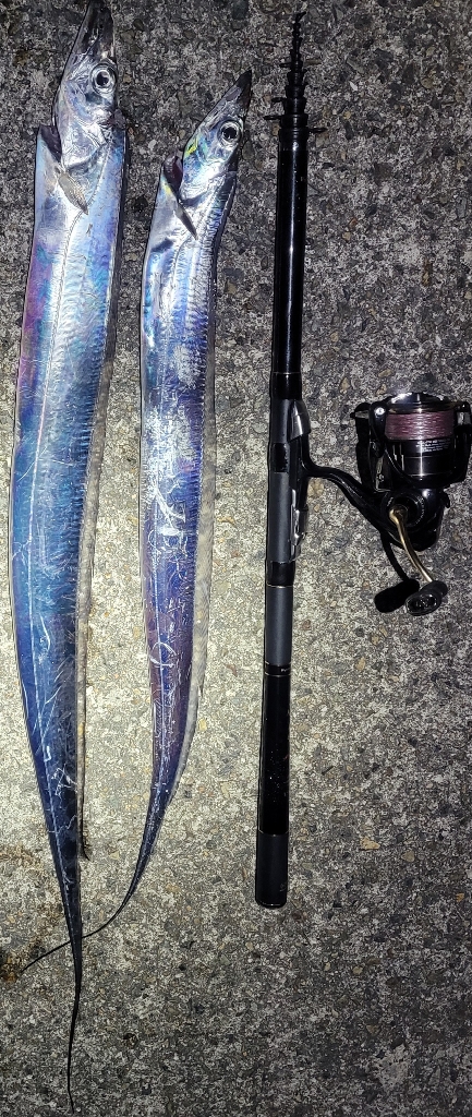 ちょっと遅めの Xmas釣りー