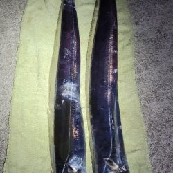 来たらデカい!というやつ