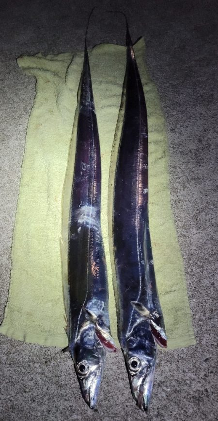 来たらデカい!というやつ