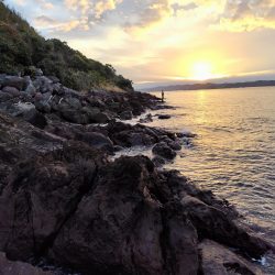 青物＆シーバス