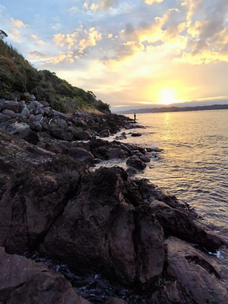 青物＆シーバス