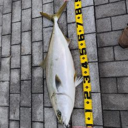 釣り納め