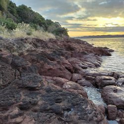 アジング&メバリング