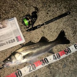 ががっときました。