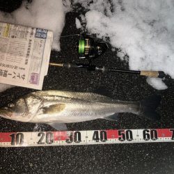 ががっときました。