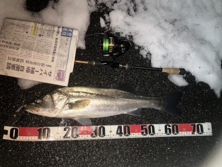 ががっときました。