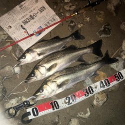 ががっときました